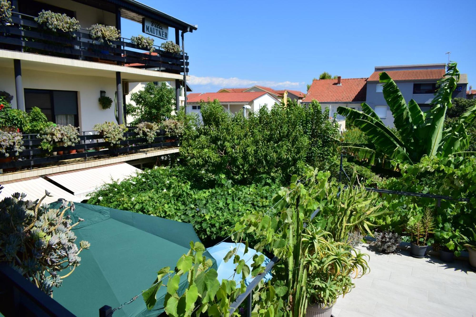 Rooms Vila Mautner Vodice Eksteriør bilde